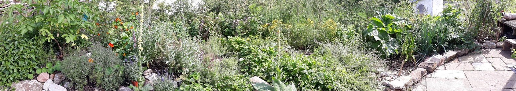 A Growing Permaculture Ecosystem in Ireland - Earthcare